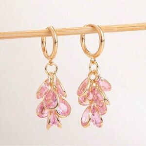 5/$25 Gold and Pink Dangle Earrings